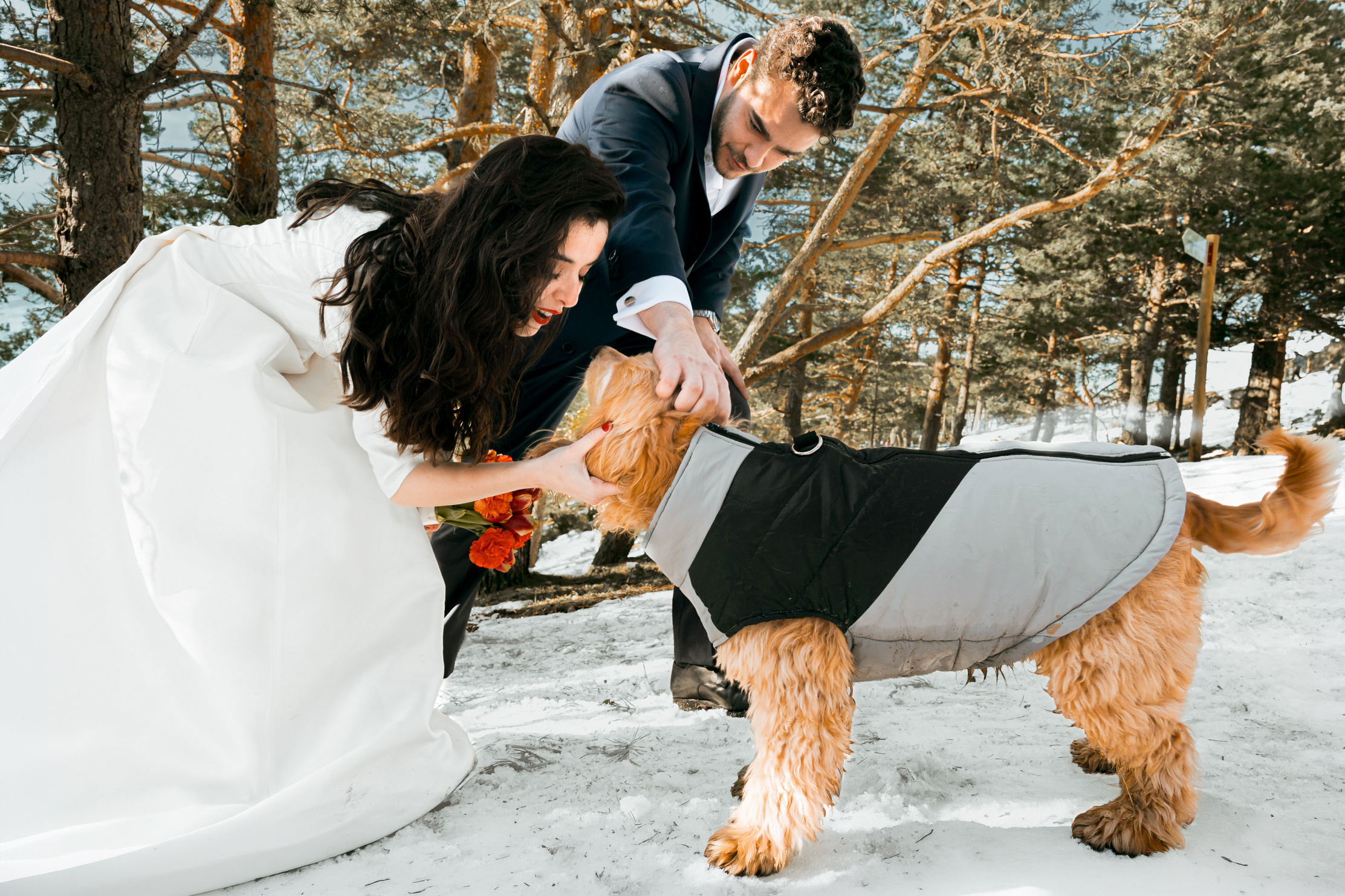 Trash the dress na neve